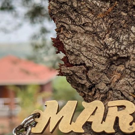 فيلا Mars Jungle Adventure Stud Farm With Private Jacuzzi Narsinge المظهر الخارجي الصورة